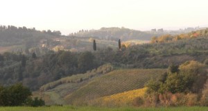 visite.guidate-toscana-paesaggio